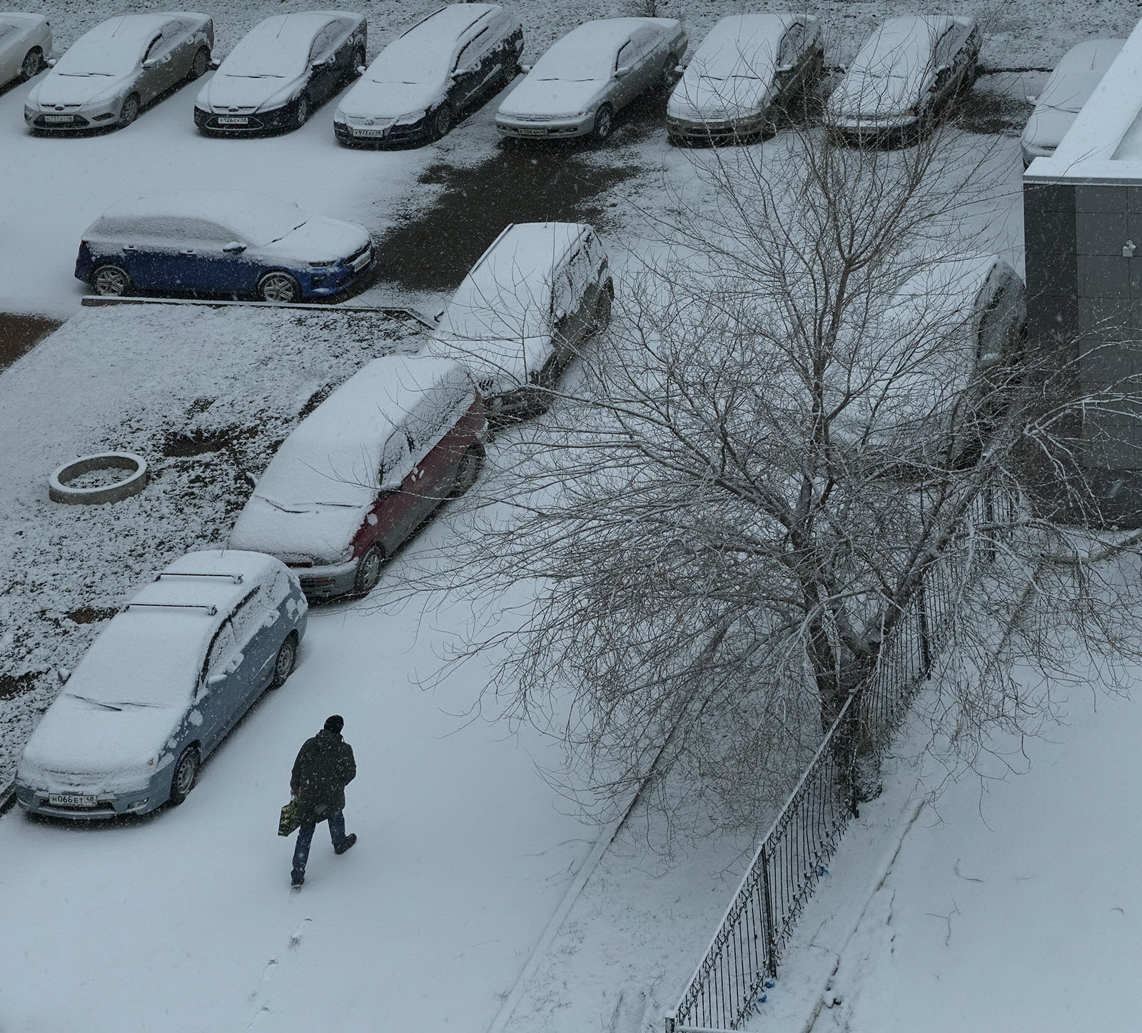 Ночью пришёл снег.