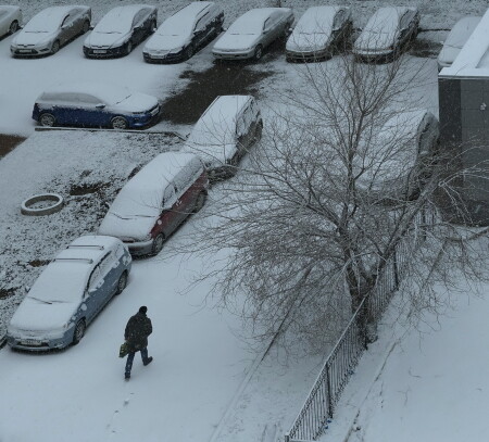 Ночью пришёл снег.