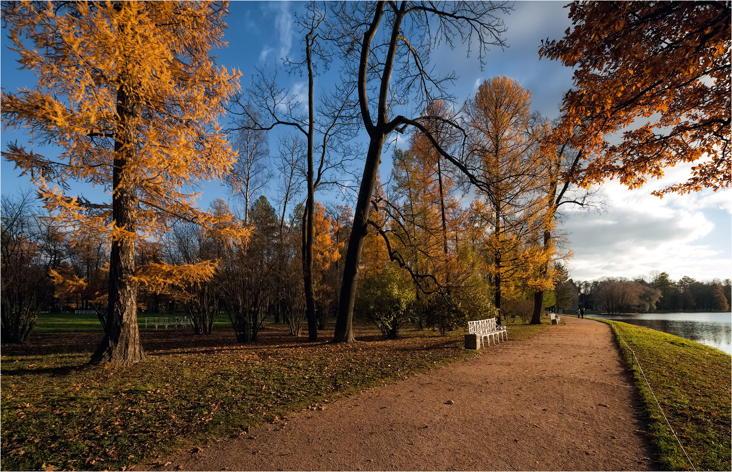 Осенние зарисовки