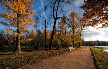 Осенние зарисовки