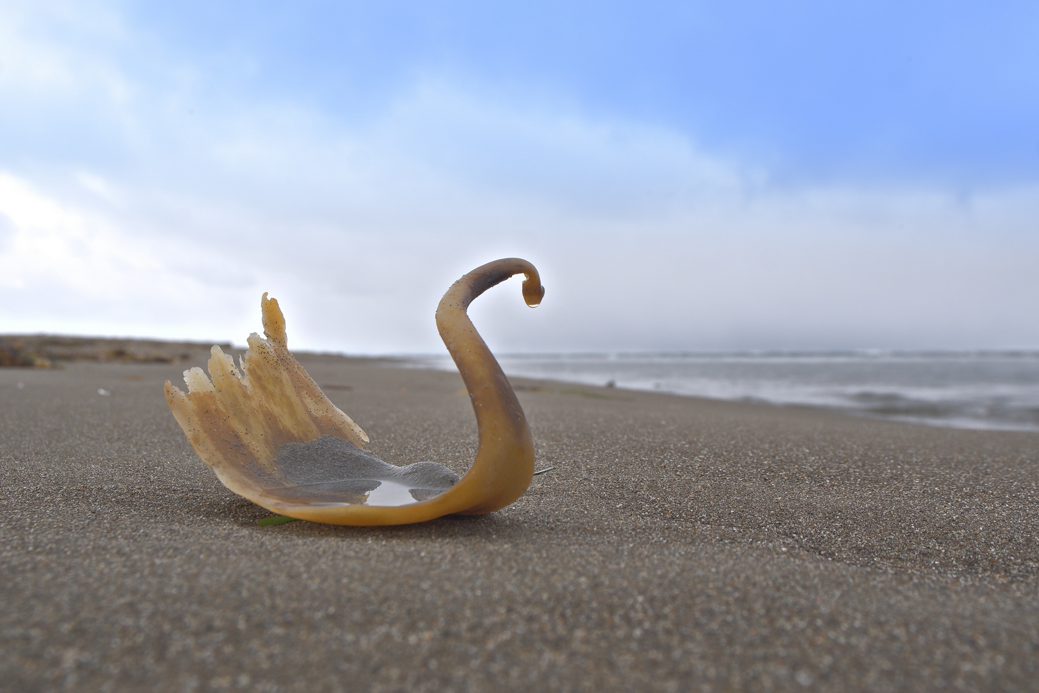 прогулка по берегу с.Яблочное . о.Сахалин