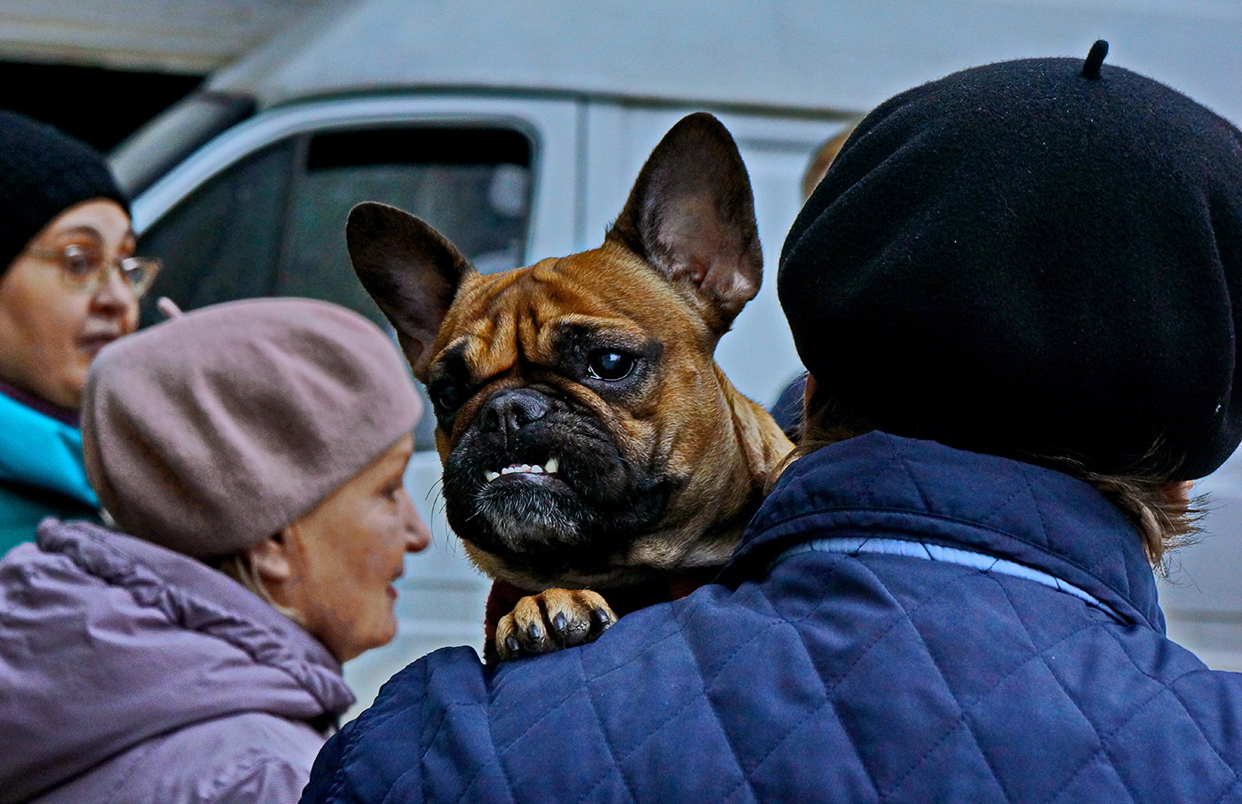 Не приближайся.