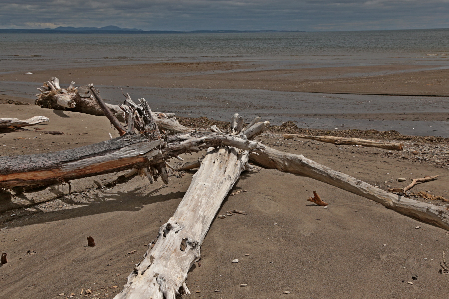 Сахалин. Залив Анива