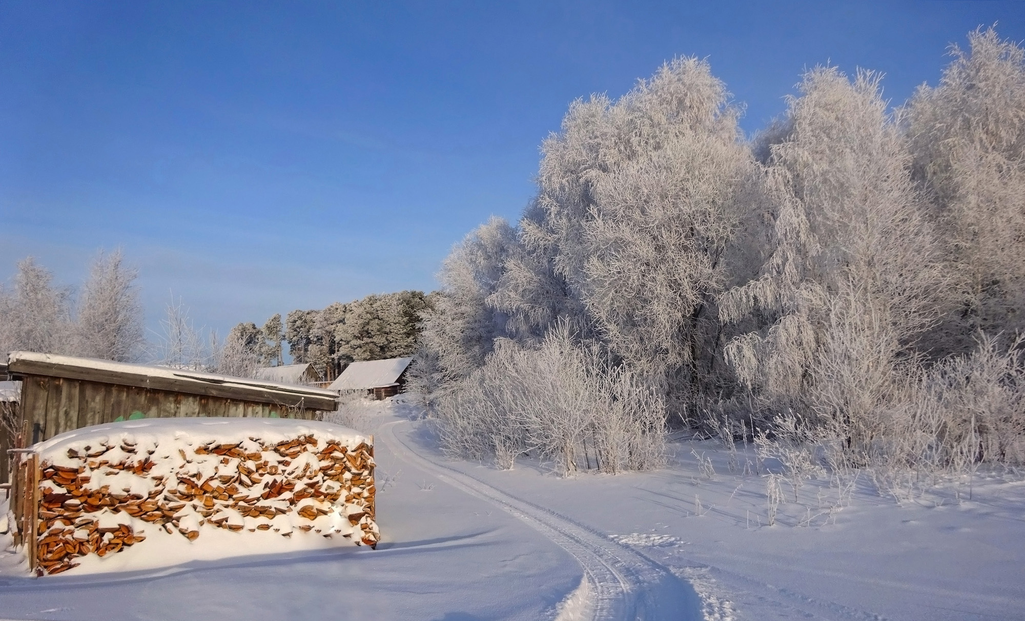 Сибирская зима