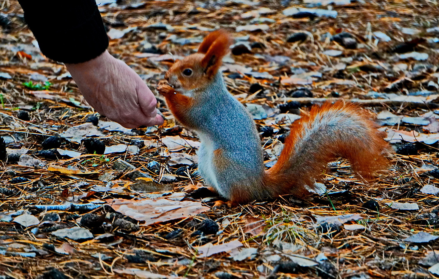 Добрый человек.