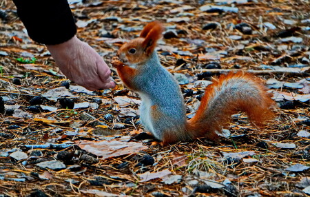 Добрый человек.