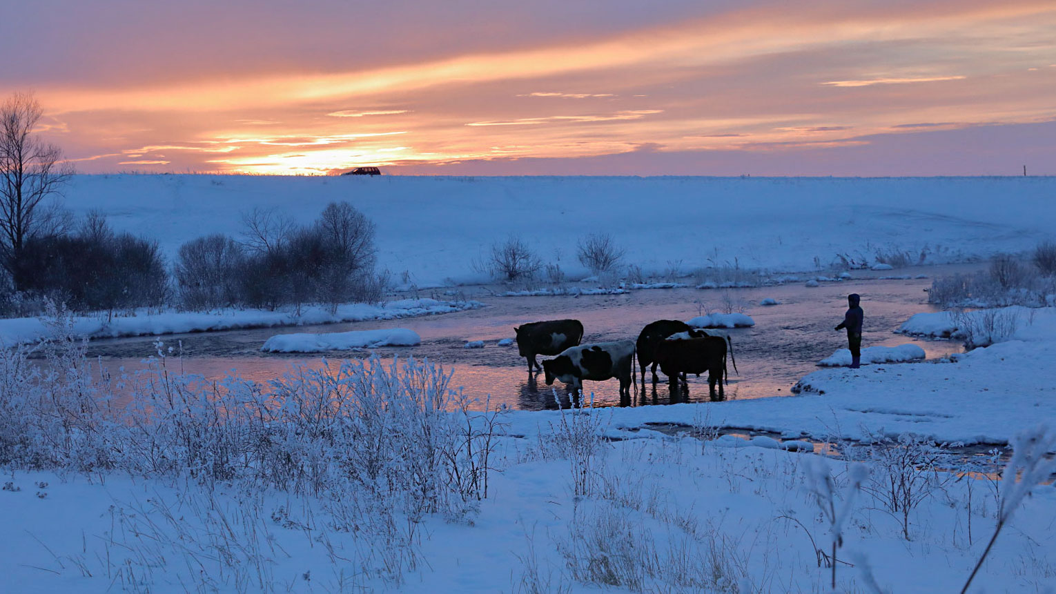 Малиновый водопой...