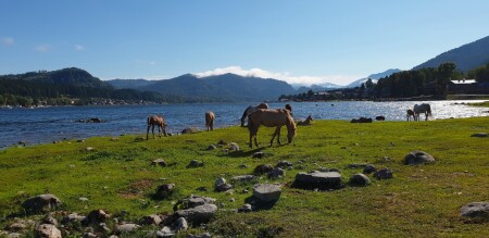 озеро Телецкое