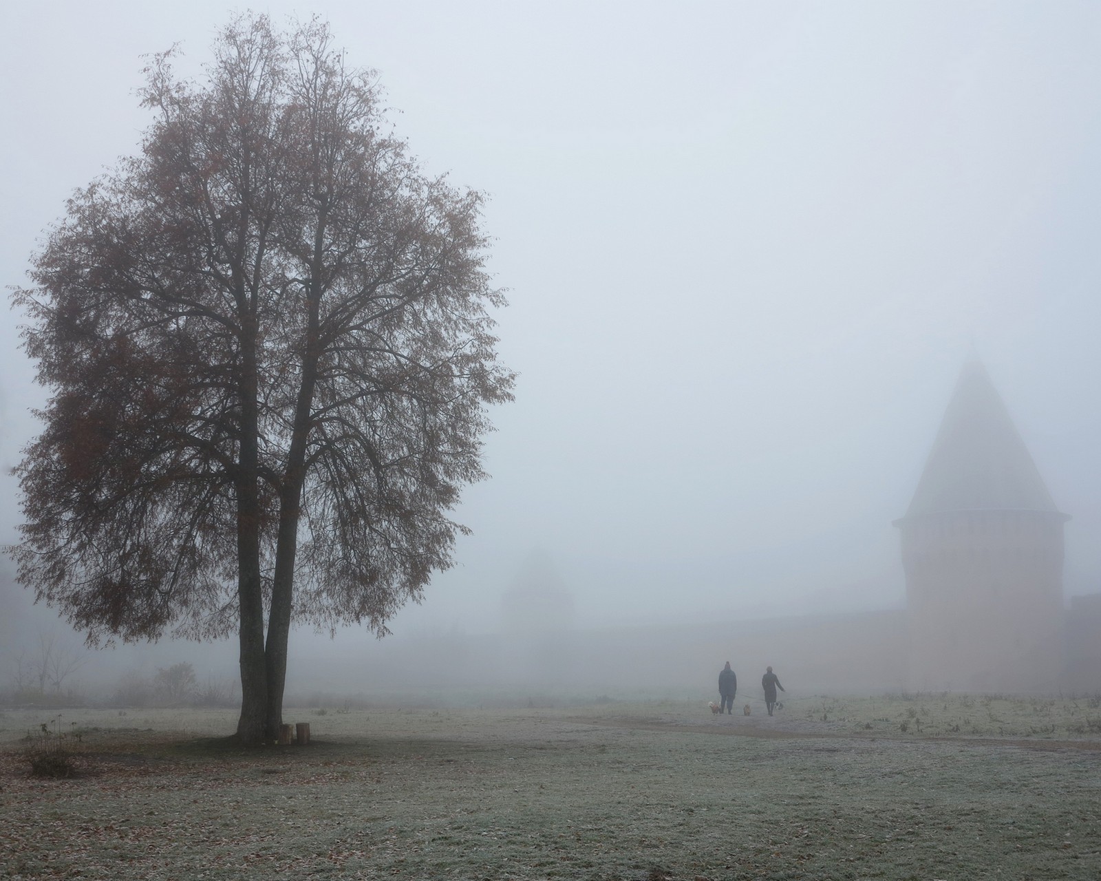 Прогулка в тумане