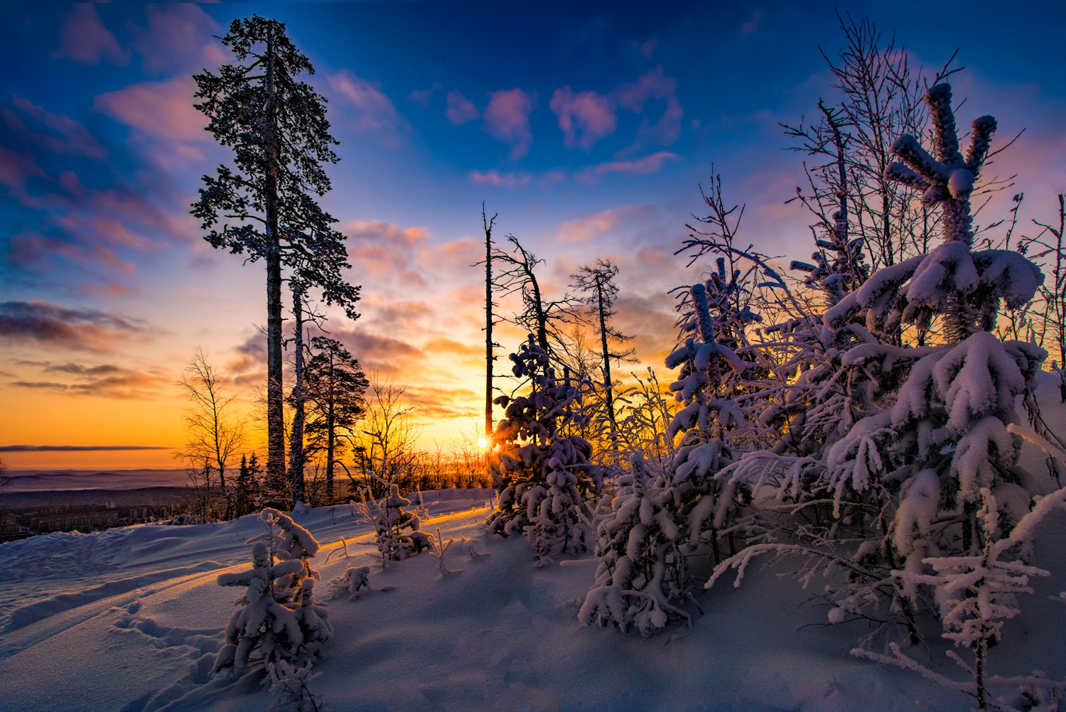 Зимнее утро 