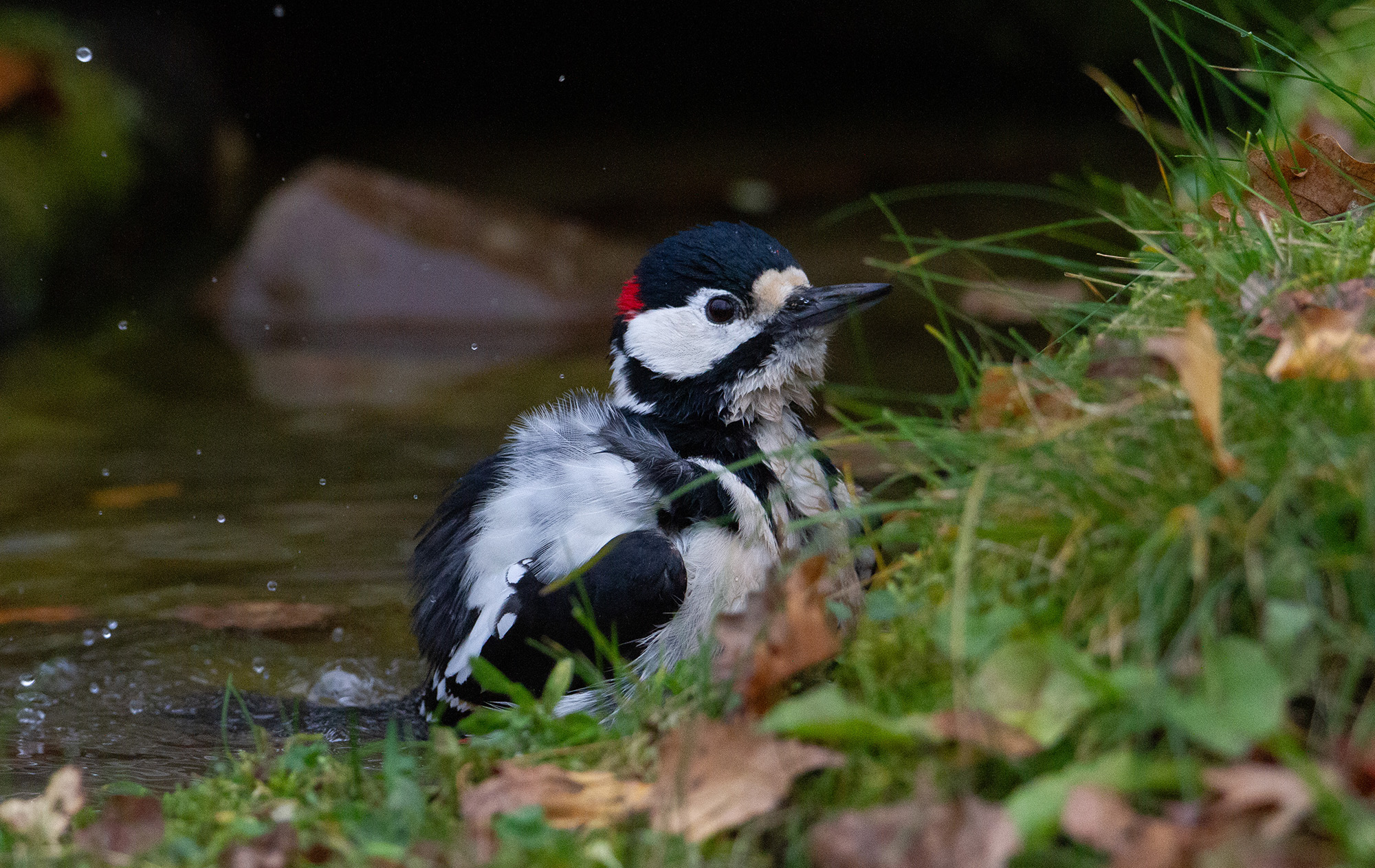 Бархатный сезон