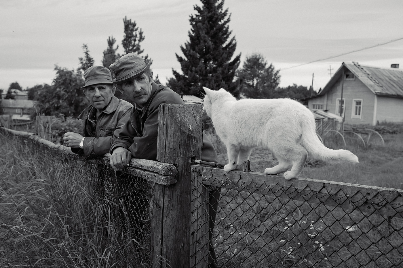 а мона спросить ?