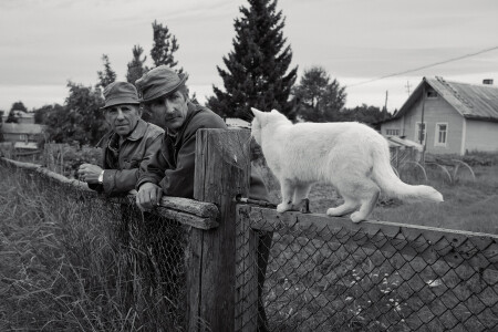 а мона спросить ?