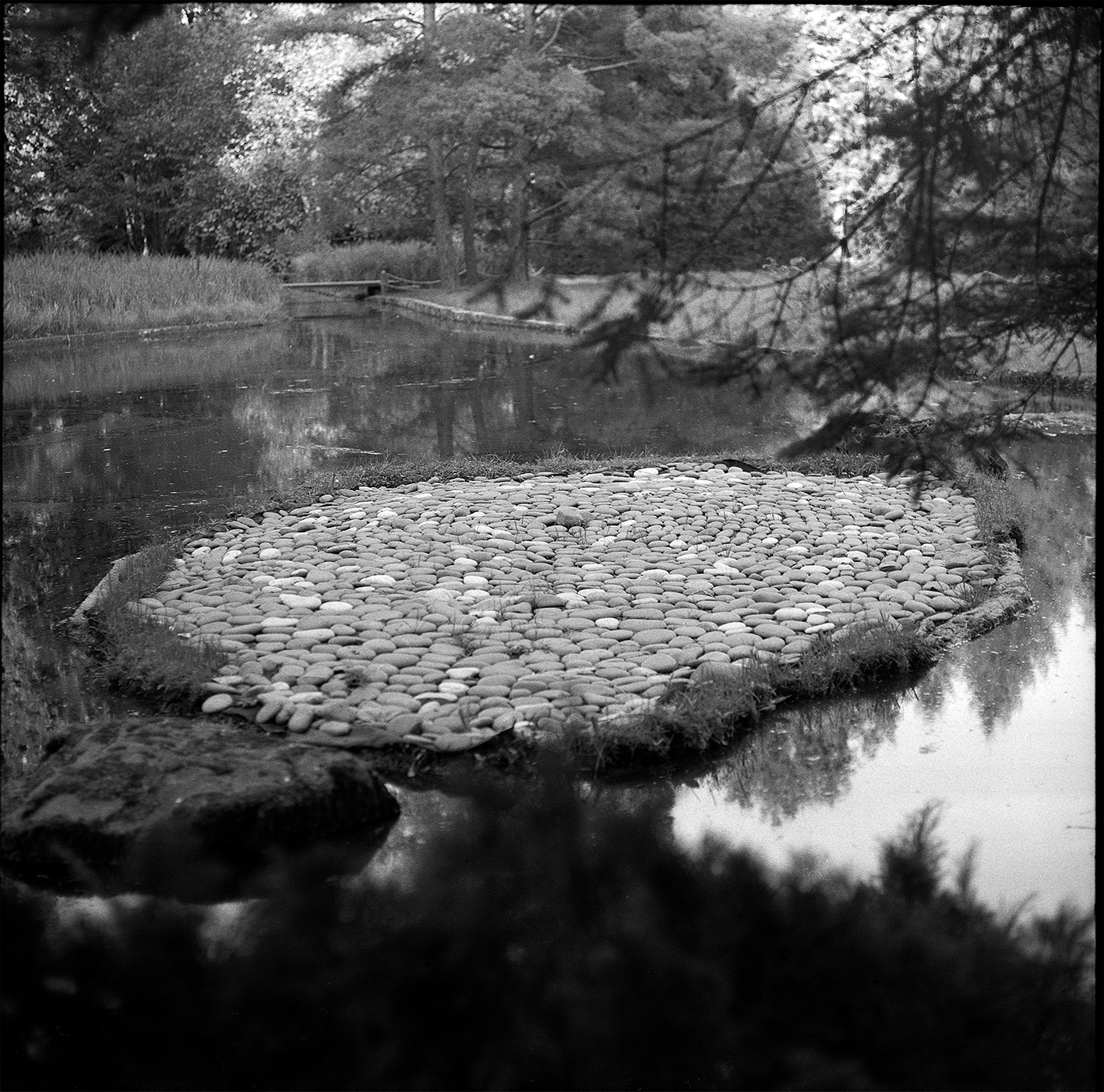 В Японском саду (Москва, 2025)