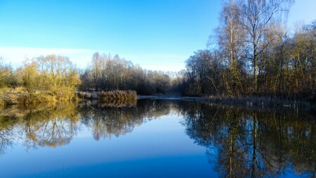 Природа Смоленщины 