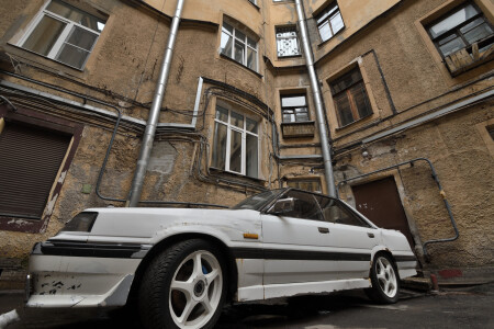 Где-то во дворах Петроградки