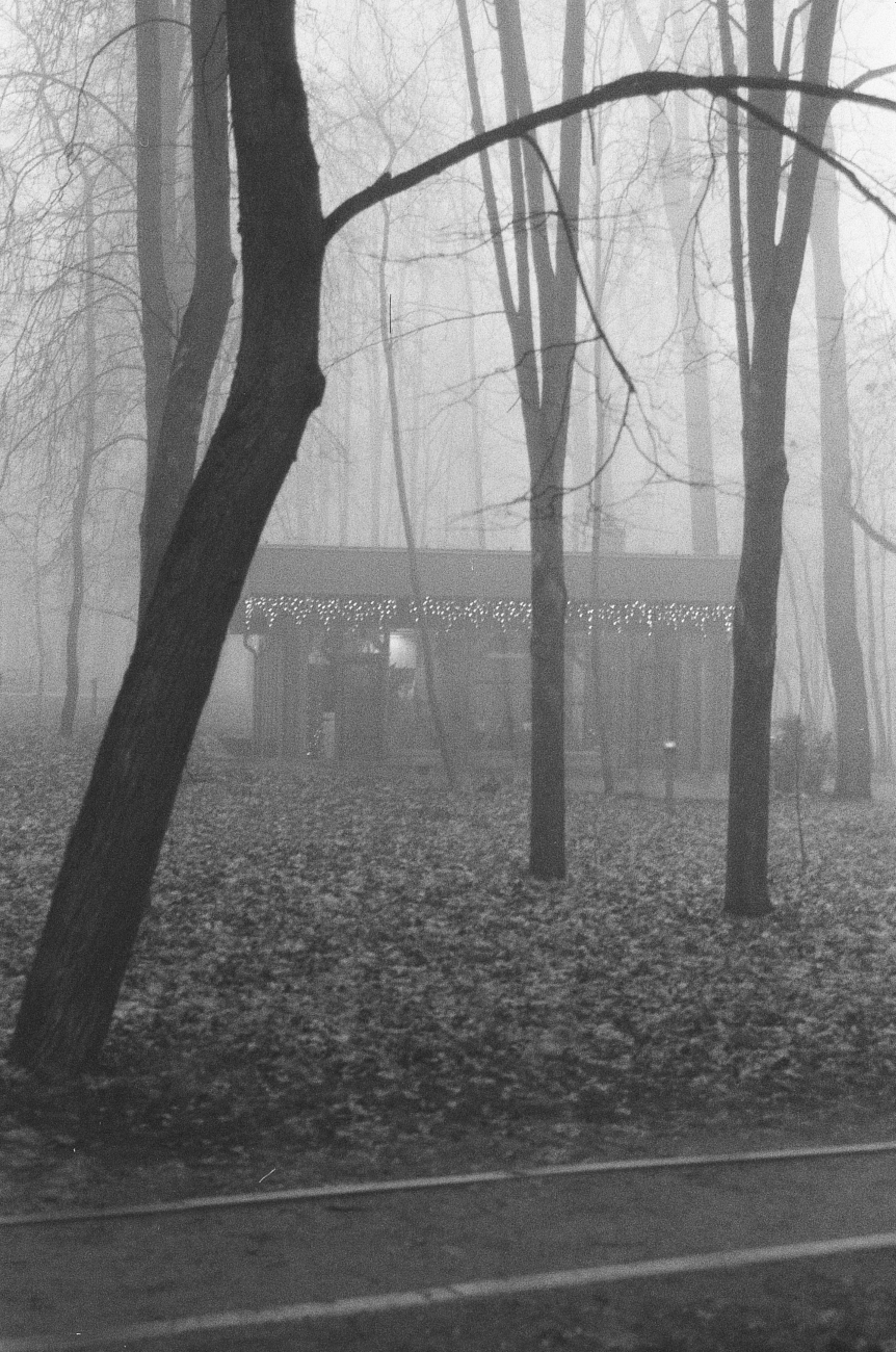 Декабрь (как ни странно)