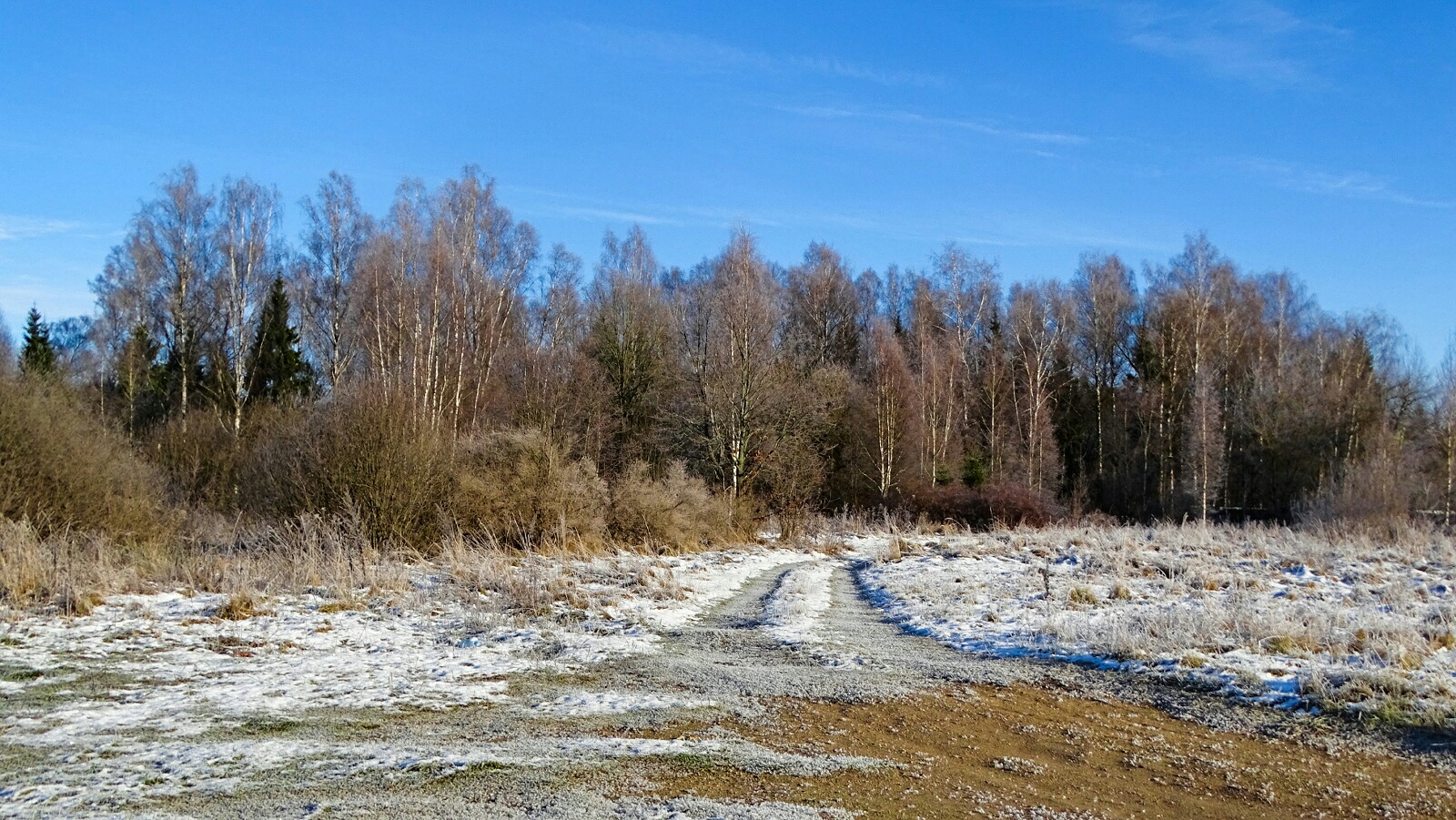 Природа Смоленщины 