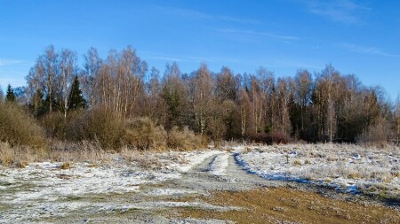 Природа Смоленщины 