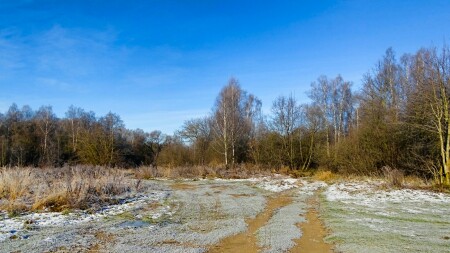 Природа Смоленщины 