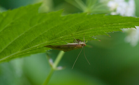 Вверх тормашками