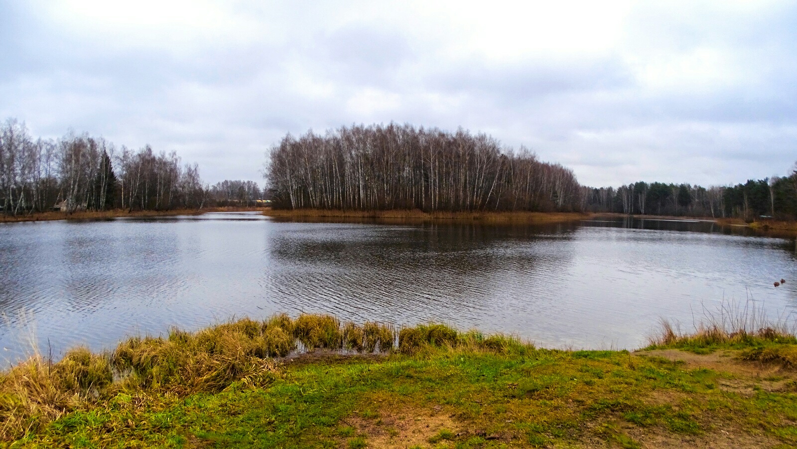 Природа Смоленщины 