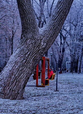 Старый парк.