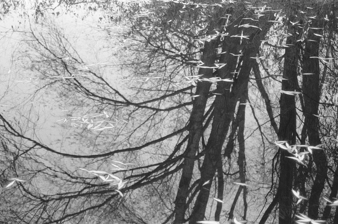 Утраченное