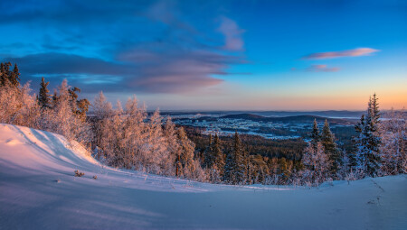 Зимняя панорама