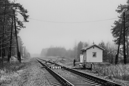 Тебе в ад или в рай?