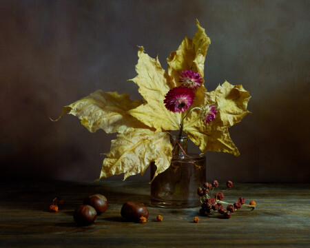 Натюрморт с кленовыми листьями 