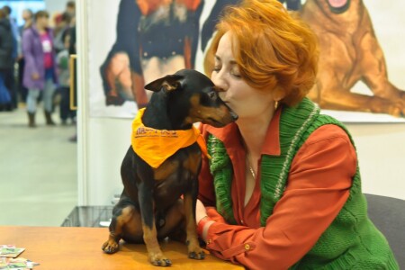 собачьи нежности...