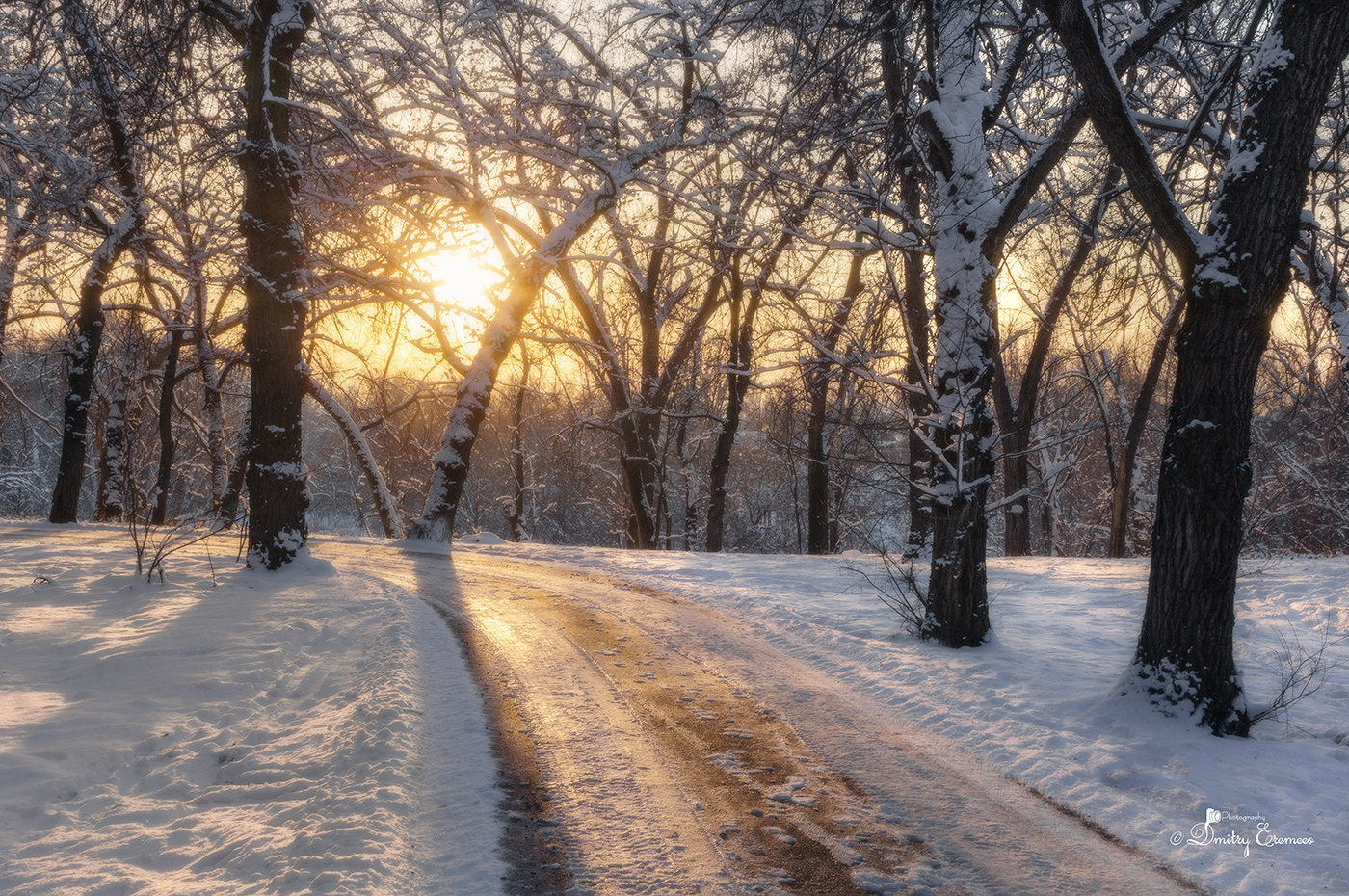 Тёплые оттенки мёда...