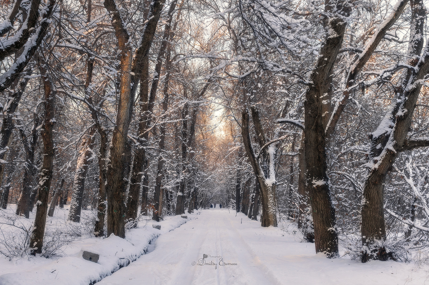 Застывшие в безмолвии... 