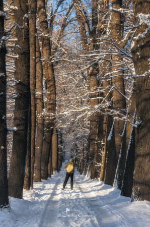 Одинокий путник на лыжне...