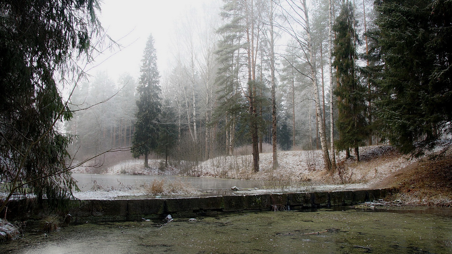 Осенние туманы