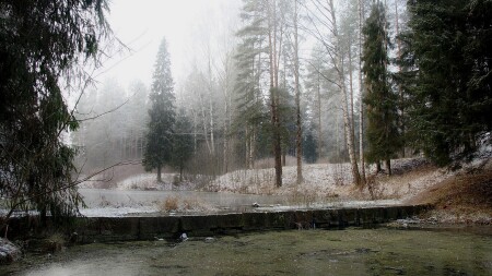 Осенние туманы