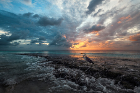 Хранитель сумерек