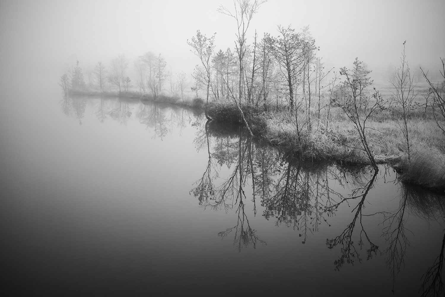 у болота нет берегов.