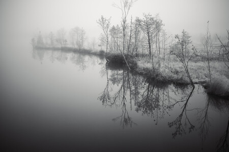 у болота нет берегов.
