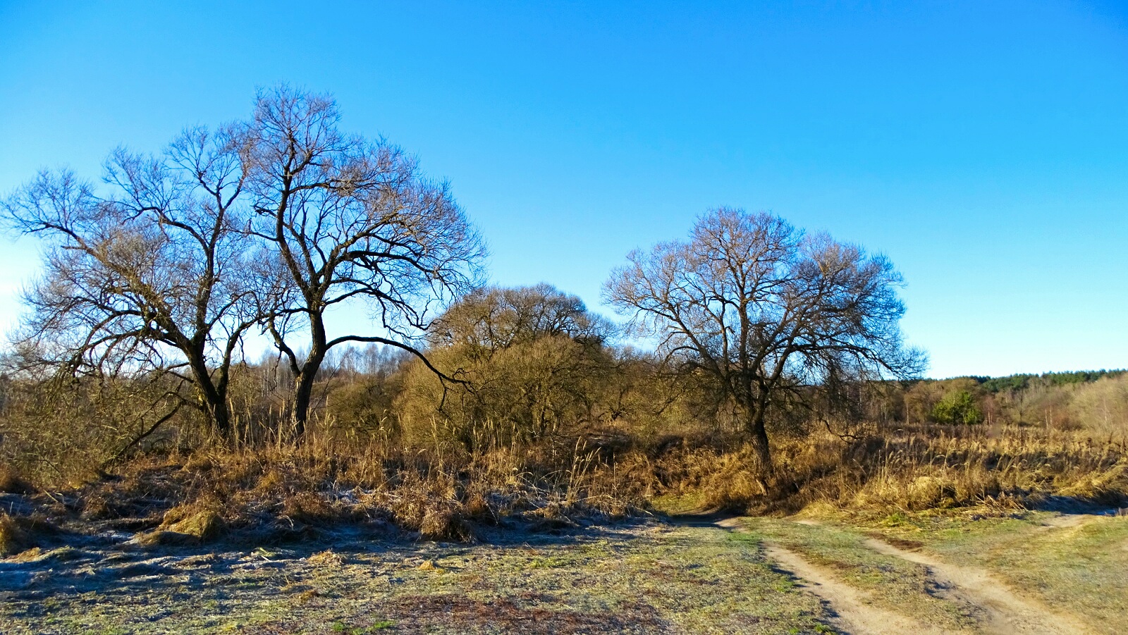 Природа Смоленщины 