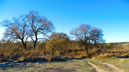 Природа Смоленщины 