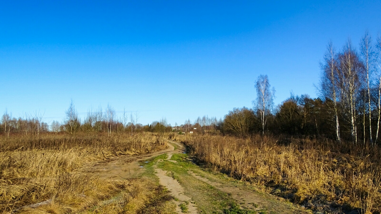 Природа Смоленщины 