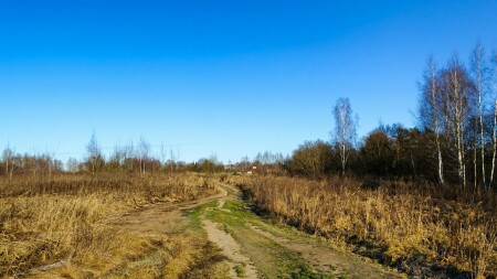 Природа Смоленщины 