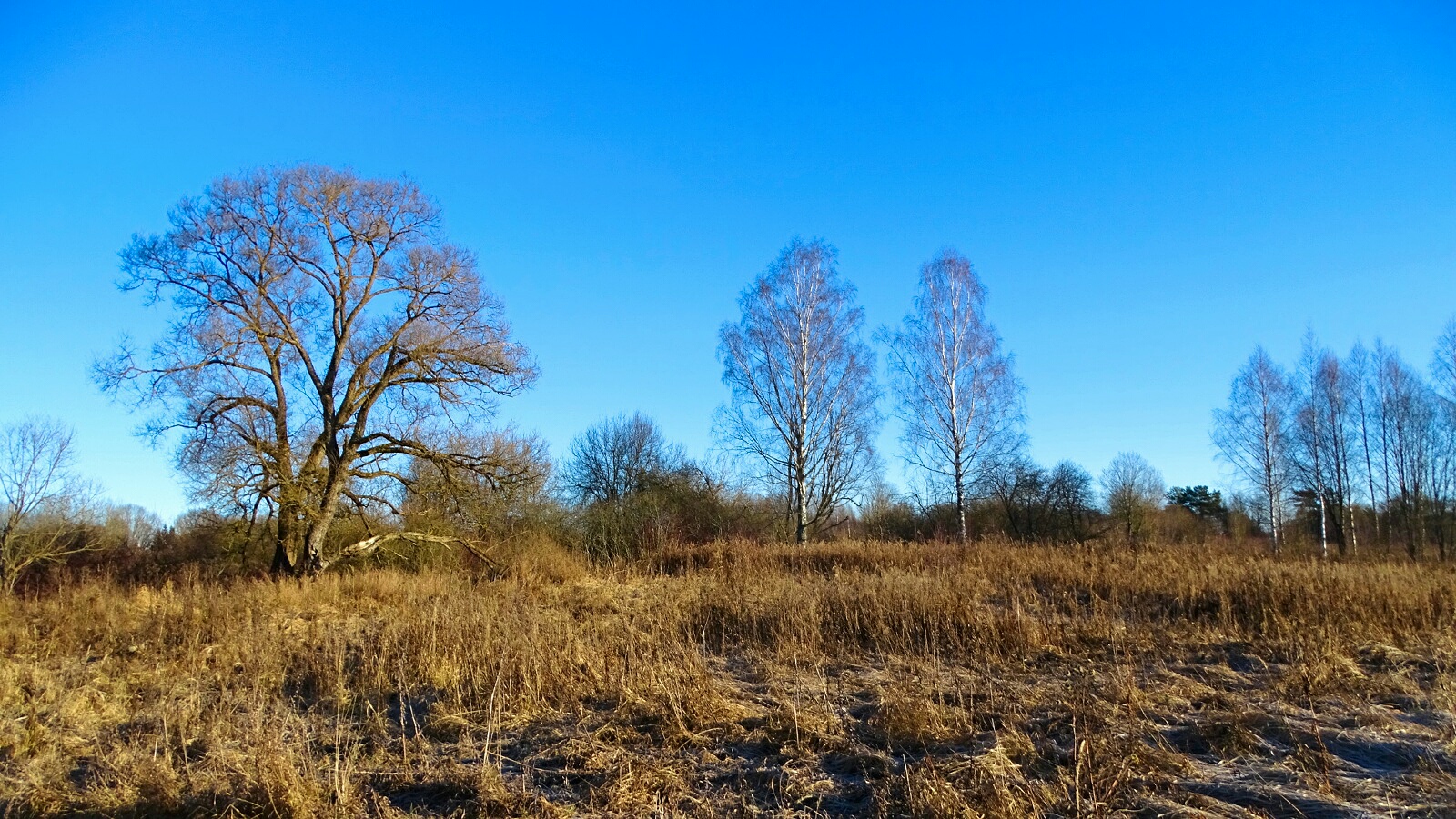 Природа Смоленщины 