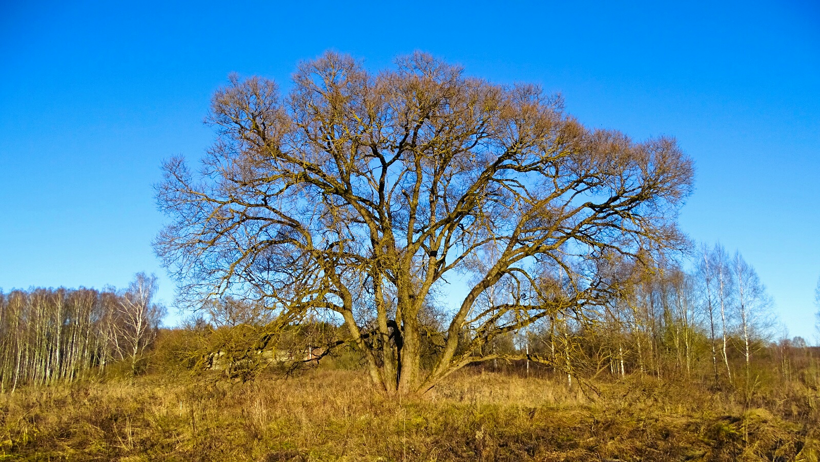 Природа Смоленщины 