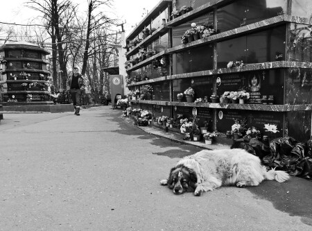 Теперь без хозяина...