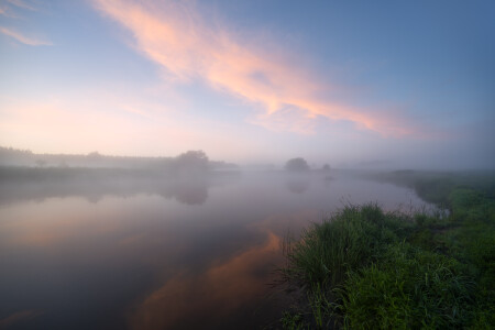 туманный вечер