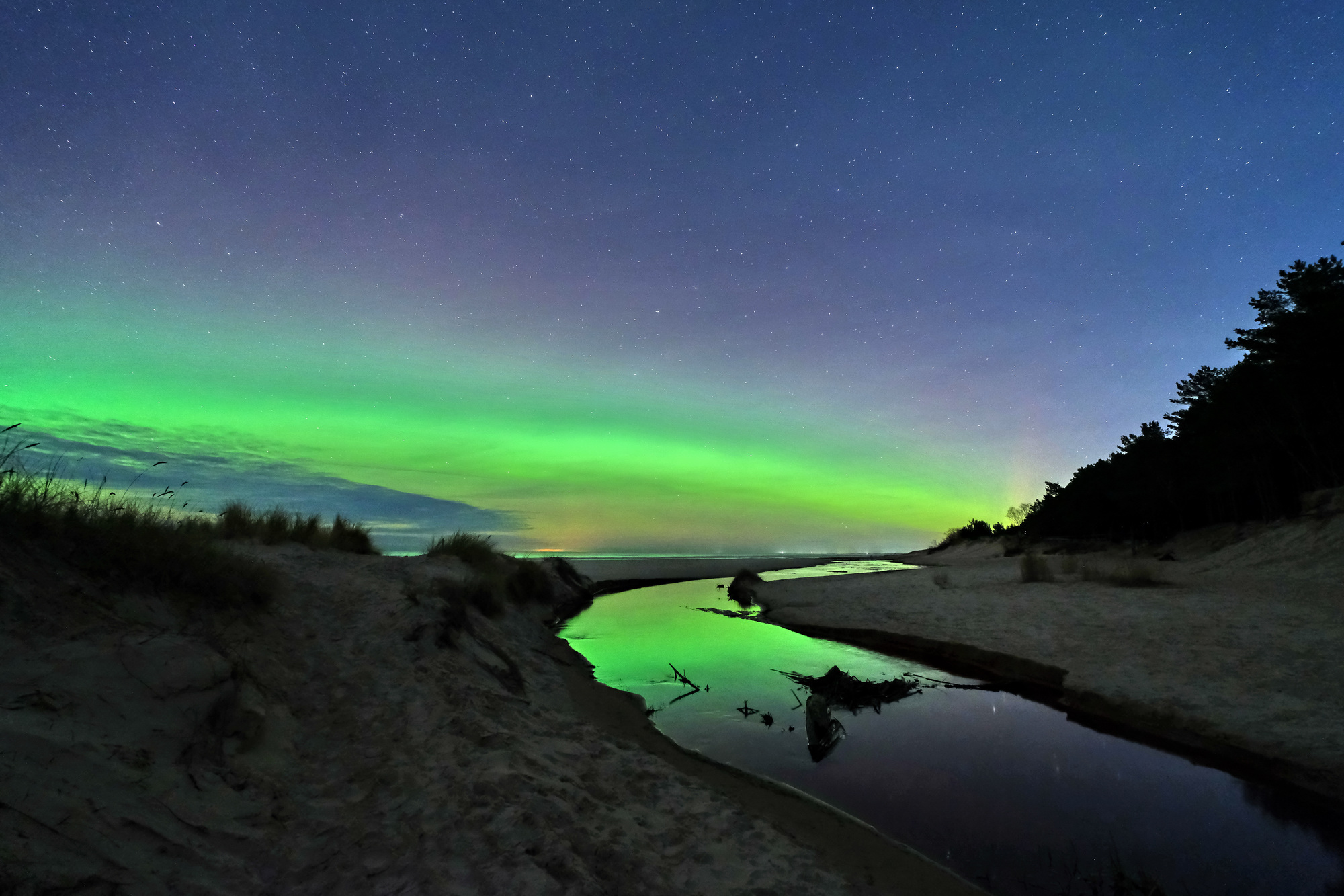 Сияние 12.2025