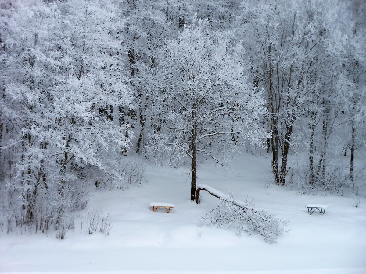 Мёртвый сезон